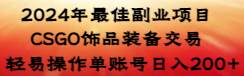 2024年最佳副业项目 CSGO饰品装备交易 轻易操作单账号日入200+-亦可网创