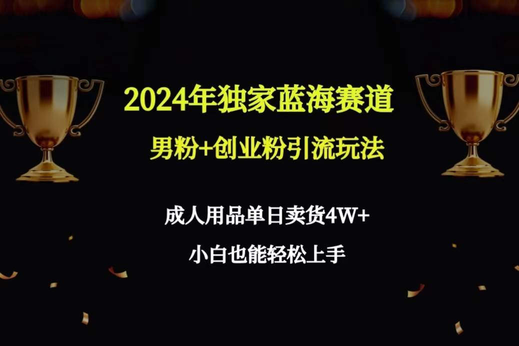 2024年独家蓝海赛道男粉+创业粉引流玩法，成人用品单日卖货4W+保姆教程-亦可网创
