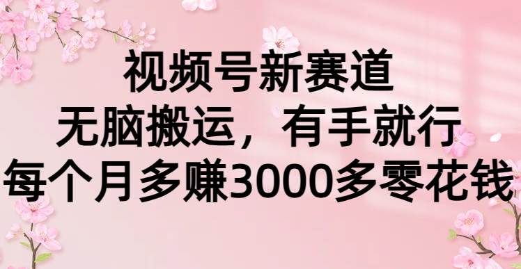视频号新赛道，无脑搬运，有手就行，每个月多赚3000多零花钱-亦可网创