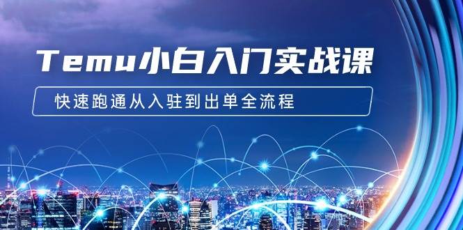Temu小白入门实战课：跨境拼多多电商培训 快速跑通从入驻到出单全流程-12节-亦可网创