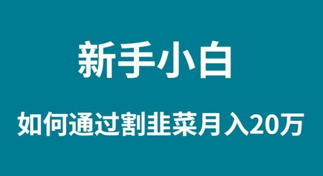新手小白如何通过割韭菜月入 20W-亦可网创