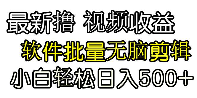 发视频撸收益，软件无脑批量剪辑，第一天发第二天就有钱-亦可网创