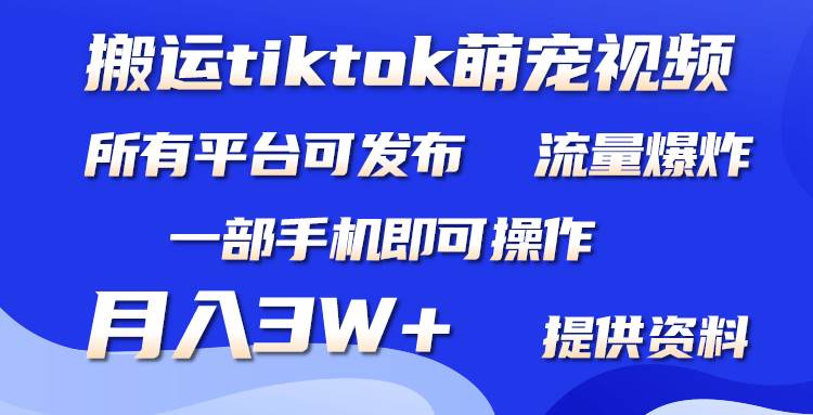 搬运Tiktok萌宠类视频，一部手机即可。所有短视频平台均可操作，月入3W+-亦可网创