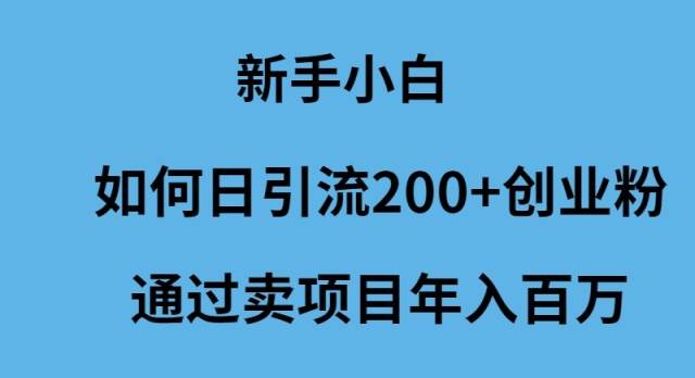 新手小白如何日引流200+创业粉通过卖项目年入百万-亦可网创