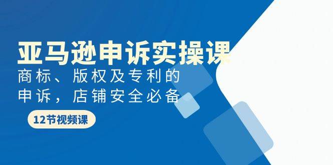 亚马逊-申诉实战课，商标、版权及专利的申诉，店铺安全必备-亦可网创