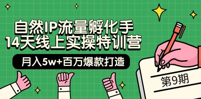 自然IP流量孵化手 14天线上实操特训营【第9期】月入5w+百万爆款打造 (74节)-亦可网创