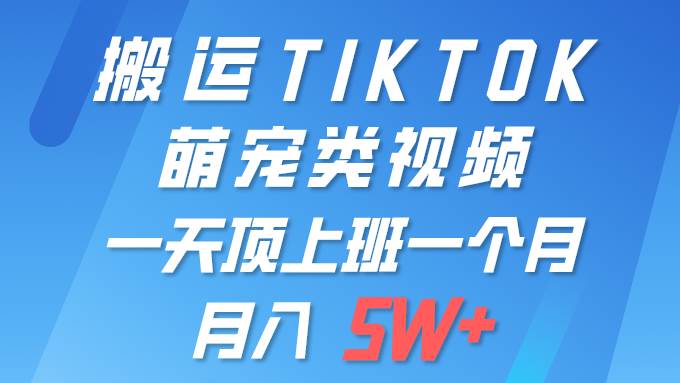 一键搬运TIKTOK萌宠类视频 一部手机即可操作 所有平台均可发布 轻松月入5W+-亦可网创