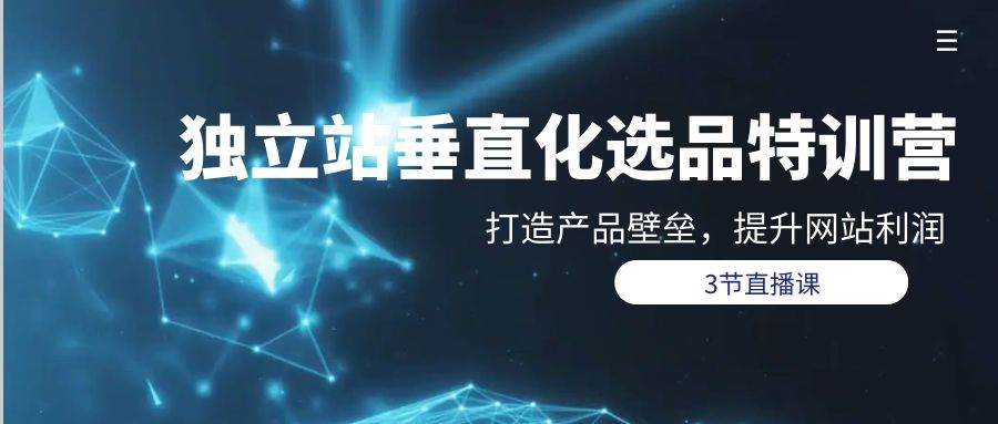独立站-垂直化选品训练营，打造产品壁垒，提升网站利润（3节直播课）-亦可网创