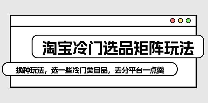 淘宝冷门选品矩阵玩法：换种玩法，选一些冷门类目品，去分平台一点羹-亦可网创