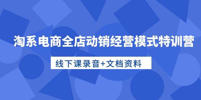 淘系电商全店动销经营模式特训营，线下课录音+文档资料-亦可网创