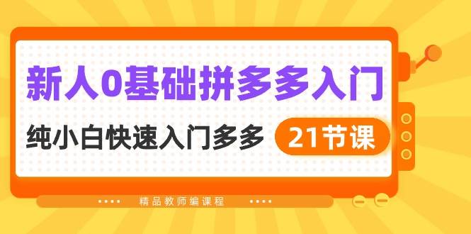 新人0基础拼多多入门，纯小白快速入门多多（21节课）-亦可网创