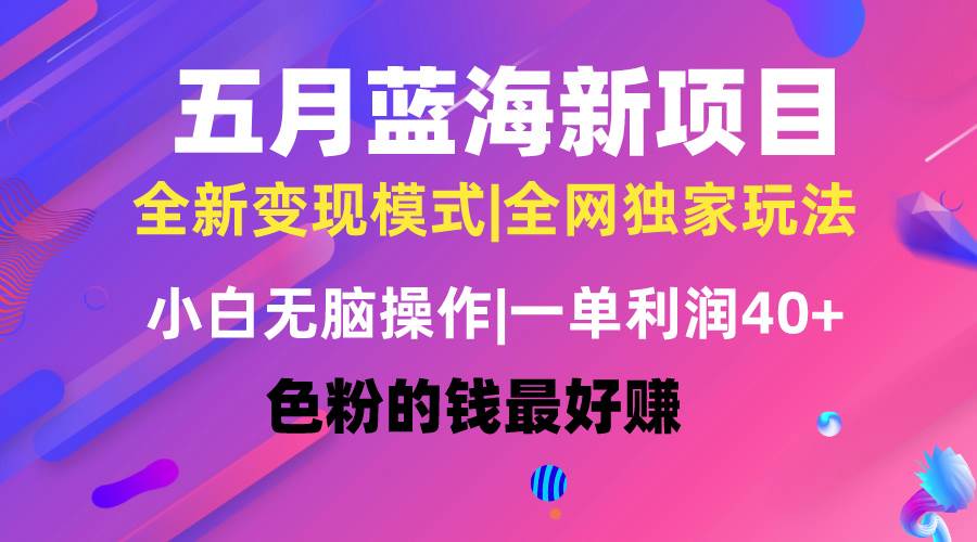 五月蓝海项目全新玩法，小白无脑操作，一天几分钟，矩阵操作，月入4万+-亦可网创
