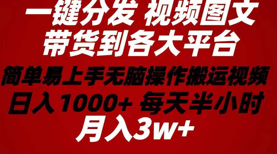 2024年 一键分发带货图文视频  简单易上手 无脑赚收益 每天半小时日入1…-亦可网创