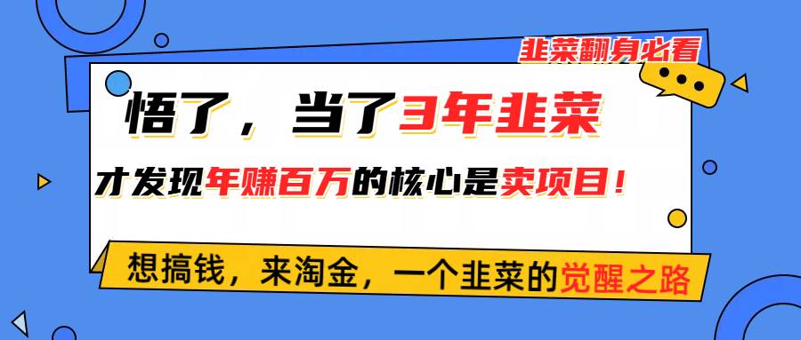 悟了，当了3年韭菜，才发现网赚圈年赚100万的核心是卖项目，含泪分享！-亦可网创
