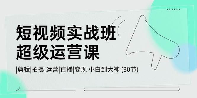 短视频实战班-超级运营课，|剪辑|拍摄|运营|直播|变现 小白到大神 (30节)-亦可网创