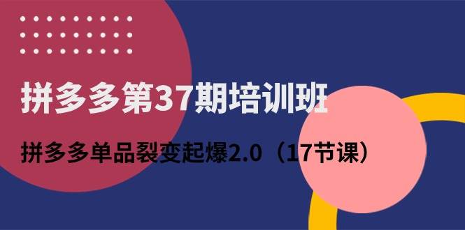 拼多多第37期培训班：拼多多单品裂变起爆2.0（17节课）-亦可网创