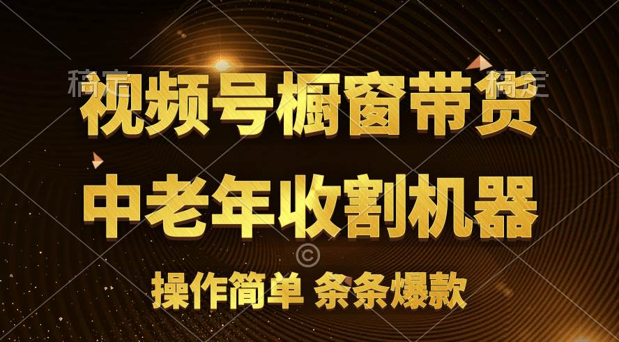 [你的孩子成功取得高位]视频号最火爆赛道，橱窗带货，流量分成计划，条…-亦可网创