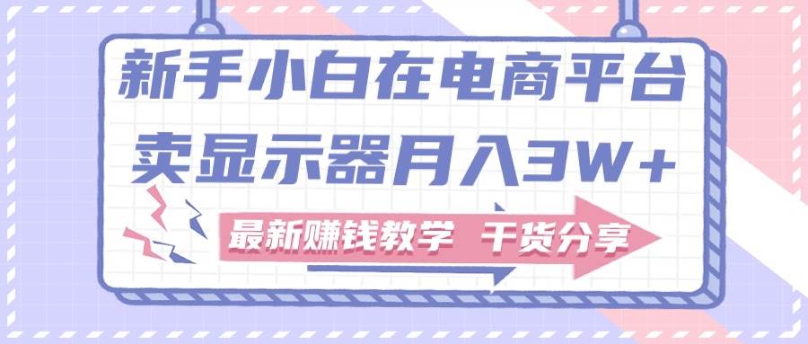 新手小白如何做到在电商平台卖显示器月入3W+，最新赚钱教学干货分享-亦可网创