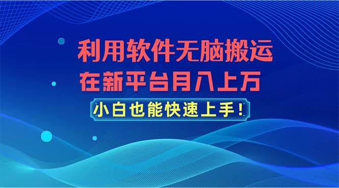 利用软件无脑搬运，在新平台月入上万，小白也能快速上手-亦可网创