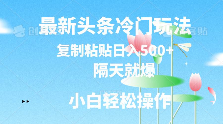 最新头条冷门玩法，隔天就爆，复制粘贴日入500+-亦可网创