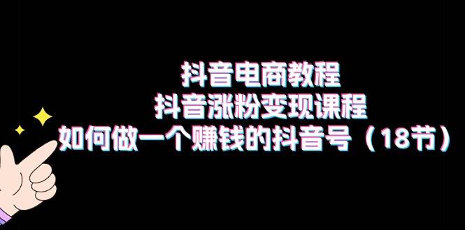 抖音电商教程：抖音涨粉变现课程：如何做一个赚钱的抖音号（18节）-亦可网创