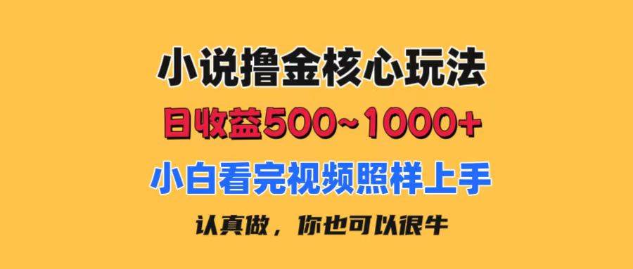 小说撸金核心玩法，日收益500-1000+，小白看完照样上手，0成本有手就行-亦可网创