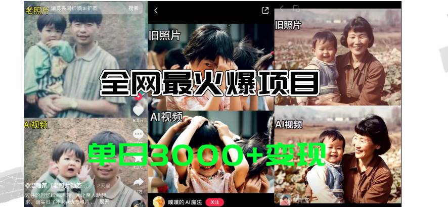 全网爆火的AI让老照片动起来教程，蹭热点日赚3000+，内含免费工具一键…-亦可网创