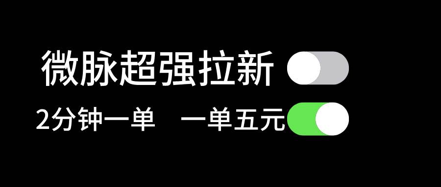 微脉超强拉新， 两分钟1单， 一单利润5块，适合小白-亦可网创