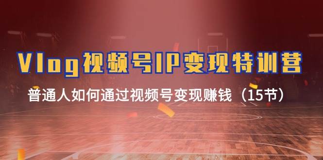 Vlog 视频号IP变现特训营，普通人如何通过视频号变现赚钱（15节）-亦可网创