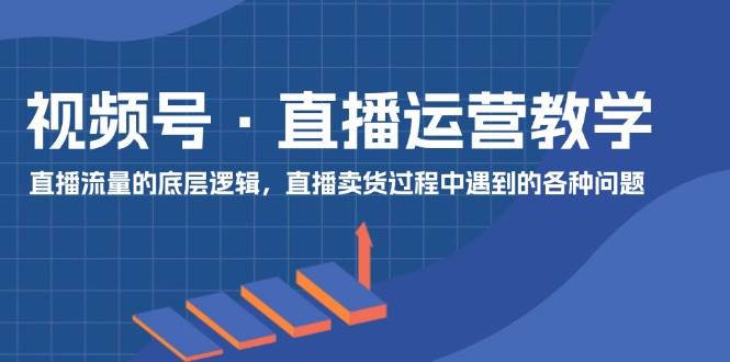 视频号 直播运营教学：直播流量的底层逻辑，直播卖货过程中遇到的各种问题-亦可网创