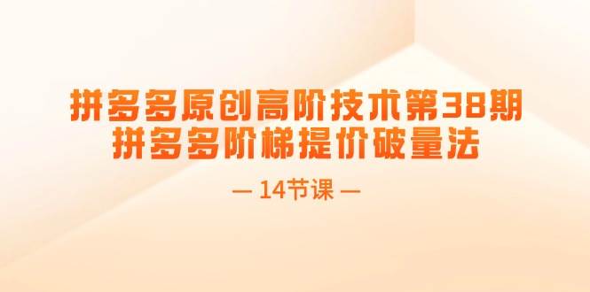 拼多多原创高阶技术第38期，拼多多阶梯提价破量法（14节课）-亦可网创